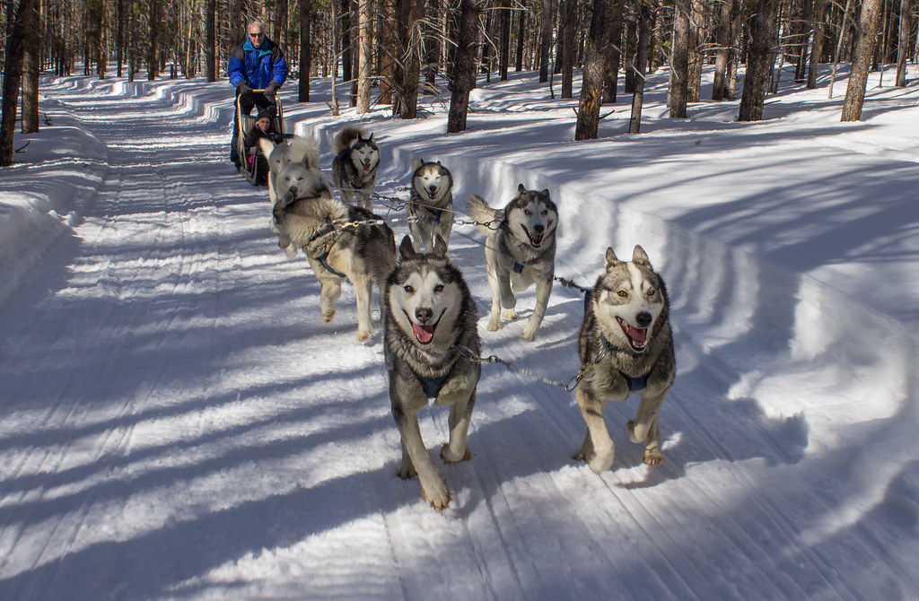 sledding